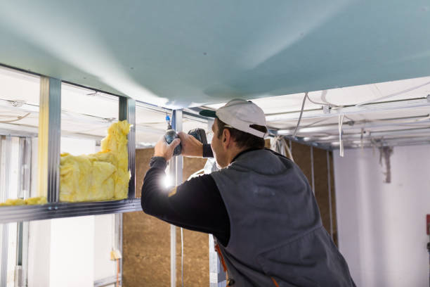 Best Residential Insulation in Marine City, MI