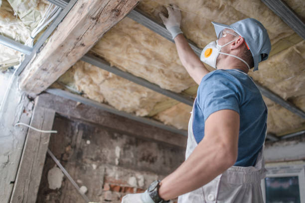Types of Insulation We Offer in Marine City, MI